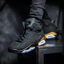 Aj-6 Retroo DMP Premium Batch | Materials, Classic Look - ShoesRepublic