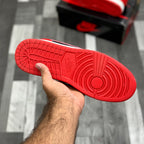 AJ-1 hightops (Bred)